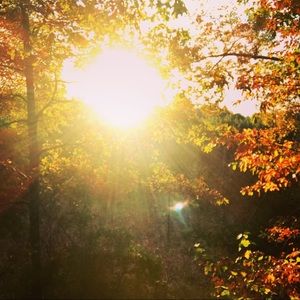 Meet your Posher, Jesse